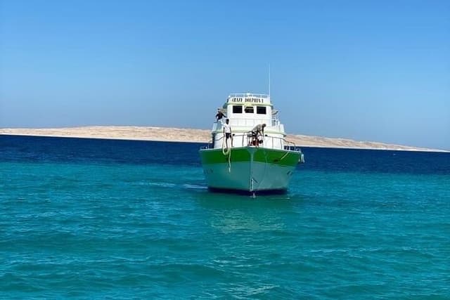 Diving Adventure – Discover the Red Sea - Photo 8