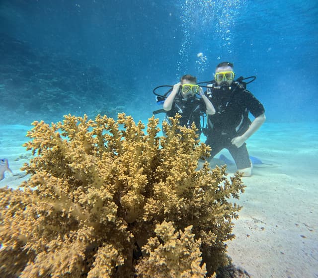 Diving Adventure – Discover the Red Sea - Photo 10