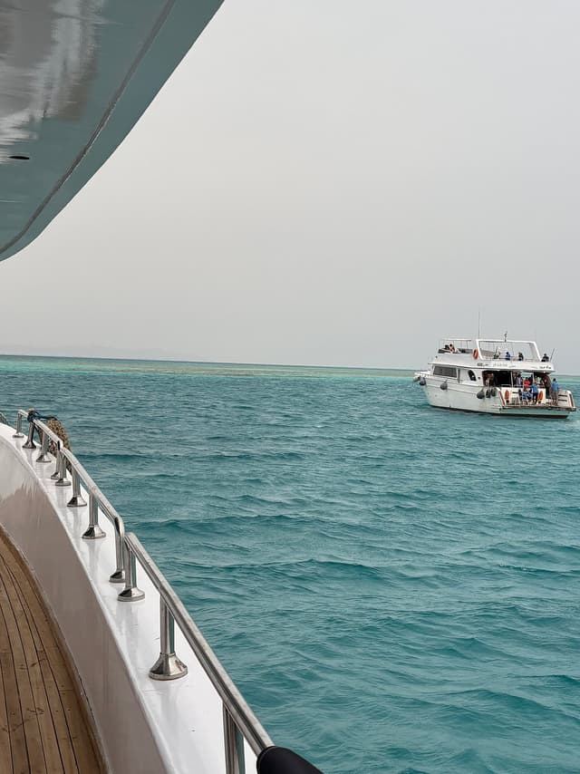 Diving Adventure – Discover the Red Sea - Photo 12