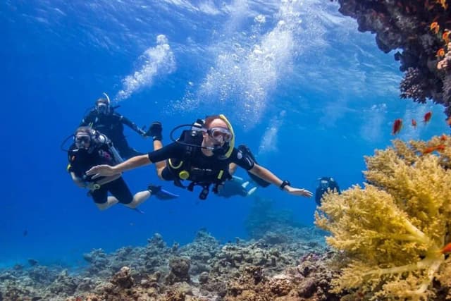 Diving Adventure – Discover the Red Sea - Photo 2