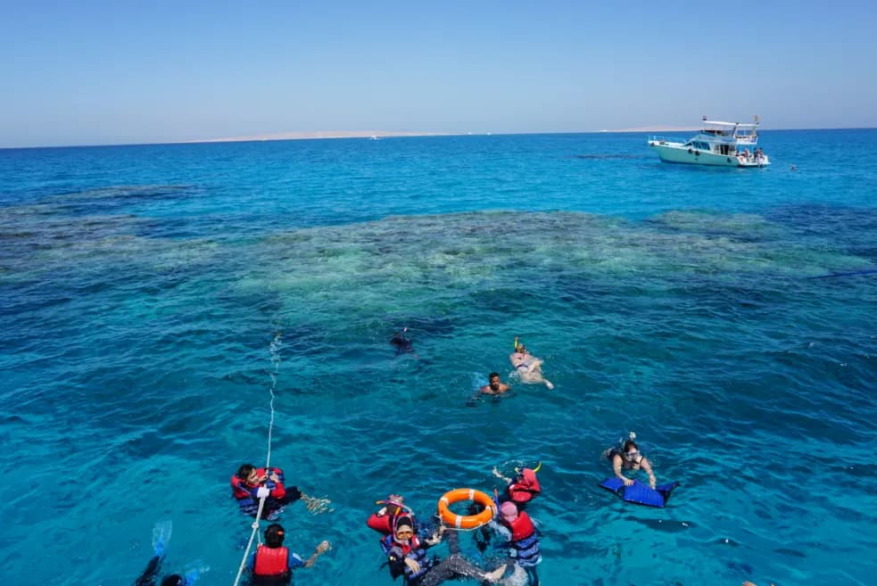 Dolphin House Snorkeling Tour from Hurghada - 1