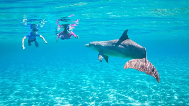 Dolphin House Snorkeling Tour from Hurghada - Photo 11