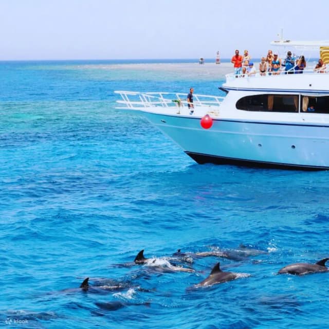 Dolphin House Snorkeling Tour from Hurghada - Photo 4