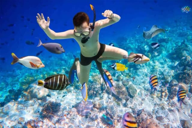 Eden Island – Snorkeling & Beach Paradise - Photo 1