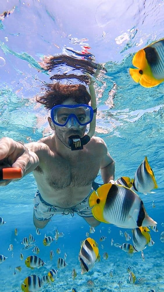 Eden Island – Snorkeling & Beach Paradise - Photo 5
