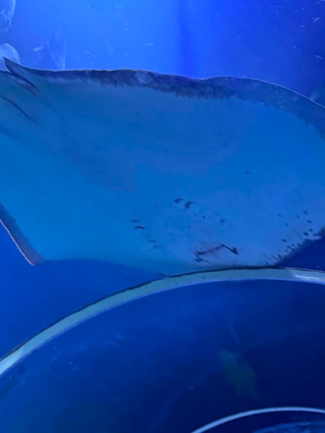 Grand Aquarium Hurghada – Underwater World Adventure - Photo 4