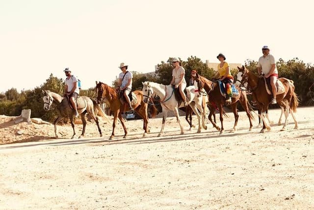 Horse Riding Safari Adventure from Hurghada - Photo 8