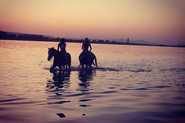 Horse Riding Safari Adventure from Hurghada - Photo 11