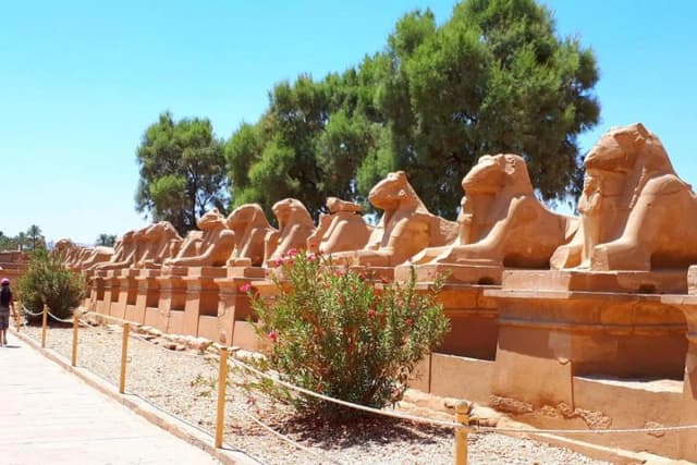 Luxor Golden Bus Tour (Large Group Bus, up to 50 seats) - Photo 6