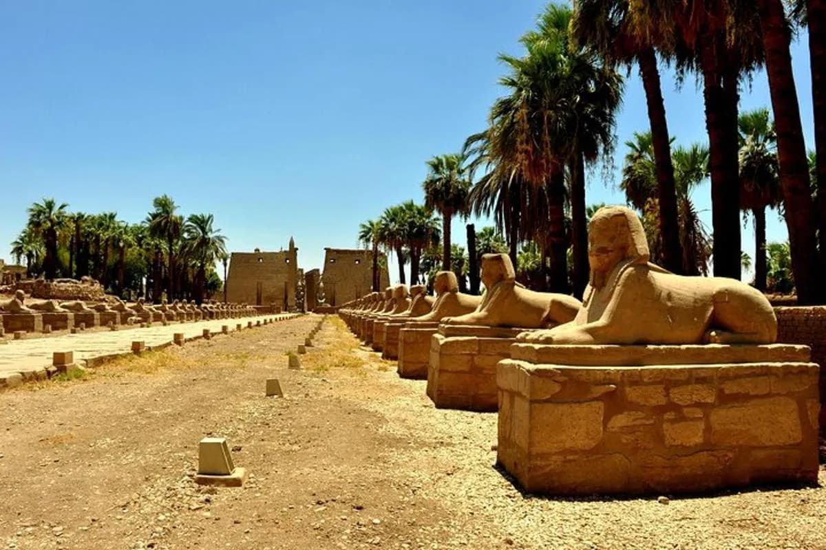 Luxor Premium Minibus Tour (Minibus, up to 8 seats) - 1