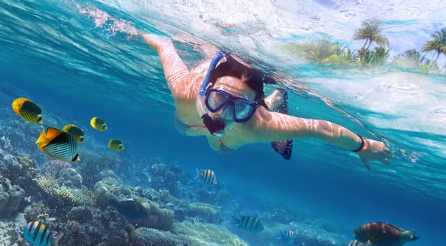 Mahmya Island – Premium Snorkeling & Beach Day - Photo 12