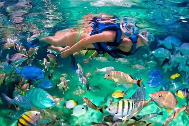 Mahmya Island – Premium Snorkeling & Beach Day - Photo 3