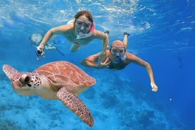 Mahmya Island – Premium Snorkeling & Beach Day - Photo 4