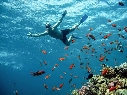Mahmya Island – Premium Snorkeling & Beach Day - Photo 7