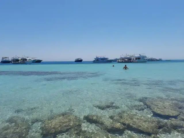 Paradise Island Snorkeling Tour from Hurghada - Photo 3