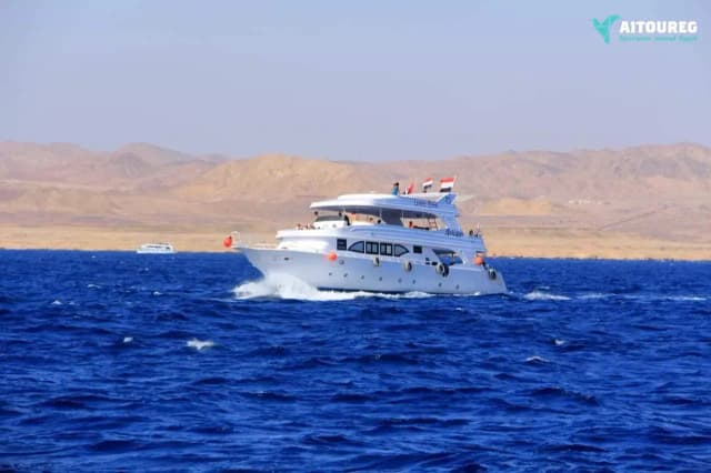 Paradise Island Snorkeling Tour from Hurghada - Photo 10