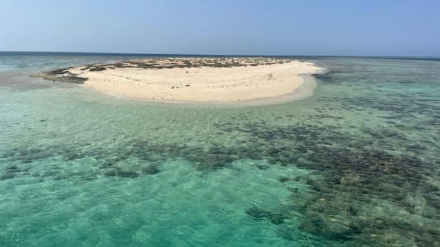 Wadi El Gemal National Park – Full Day Beach & Nature Tour - Photo 7