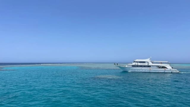 Wadi El Gemal National Park – Full Day Beach & Nature Tour - Photo 8
