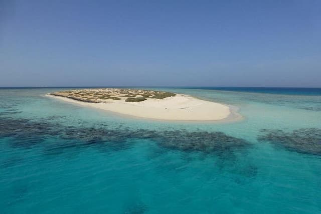 White Island – Snorkeling & Beach Paradise - Photo 10