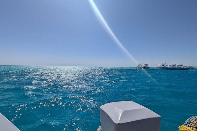 White Island – Snorkeling & Beach Paradise - Photo 11