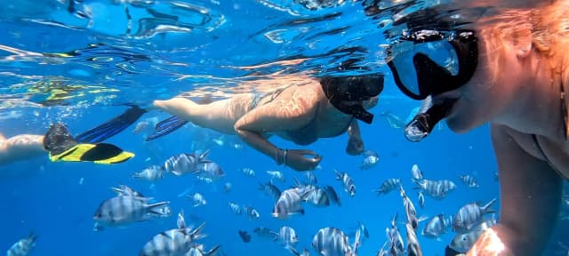 White Island – Snorkeling & Beach Paradise - Photo 3