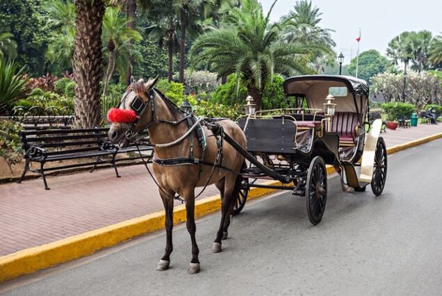Carriage Ride Night: Romance, Dinner & Live Shows