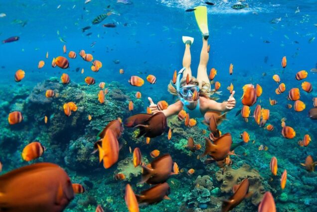 Sataya Overnight: Dolphins, Diving & Reef Magic