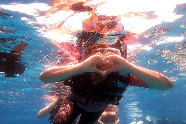 Samadai Dolphin Reef: Snorkel & Sea Adventure