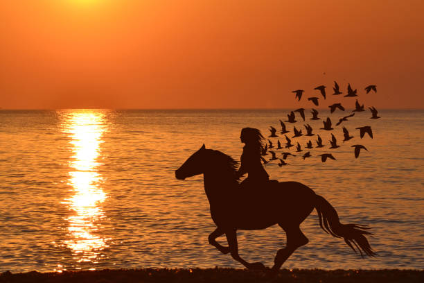 Sunrise Horse Ride: Desert & Beach Magic