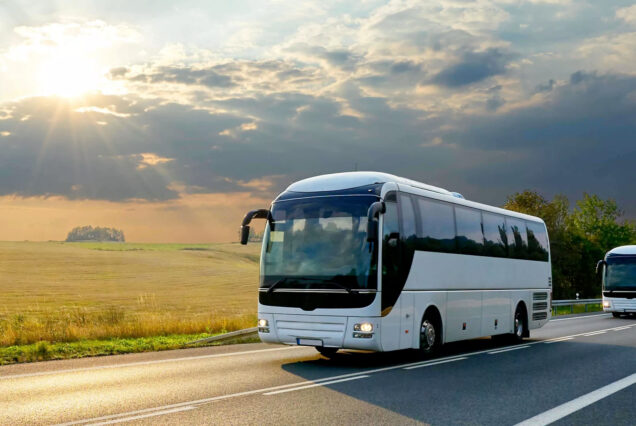 Transfer by Tourist Bus Trip