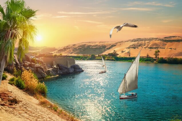 🌴👑 Golden Crown of the Nile – Aswan Royal Escape 👑🌴