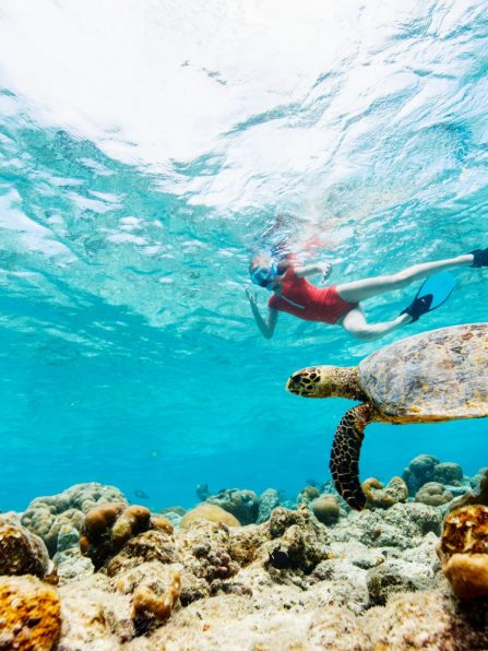 IMG_20250904_215051_555